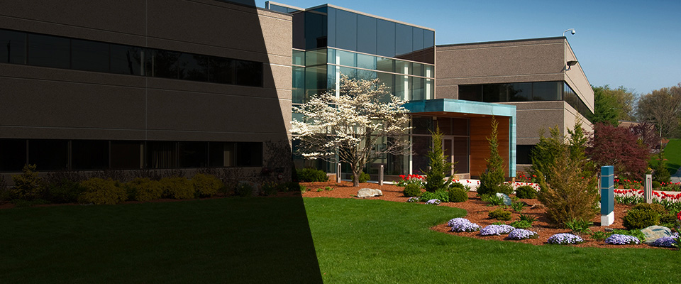 Port Norris Landscapers