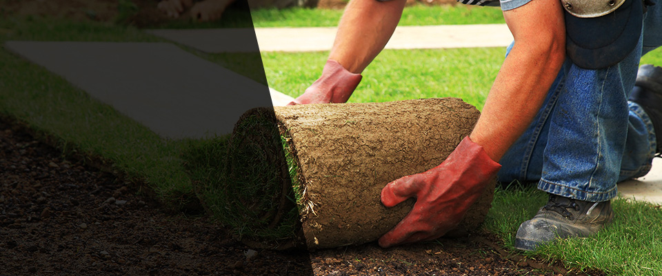 Port Norris Landscapers